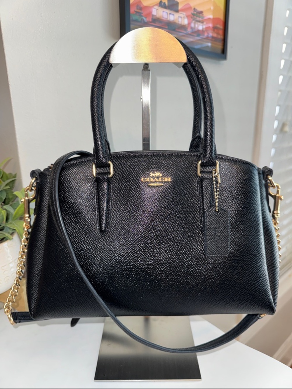 Coach Mini Sage Carryall Satchel Bag
